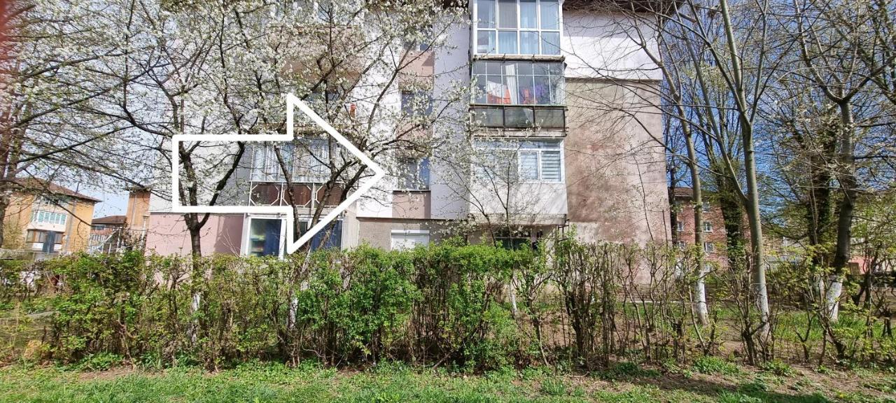 Apartament Studio Vale Hunedoara Zewnętrze zdjęcie