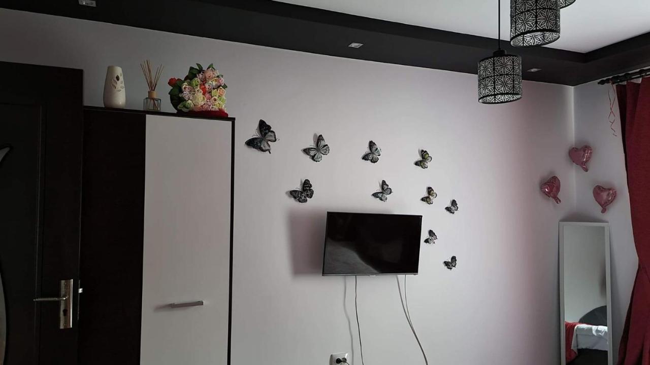 Apartament Studio Vale Hunedoara Zewnętrze zdjęcie