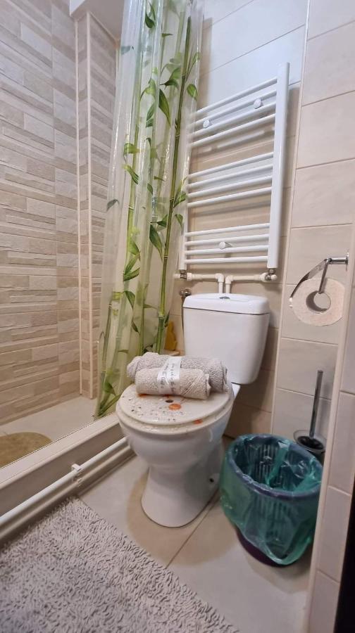 Apartament Studio Vale Hunedoara Zewnętrze zdjęcie