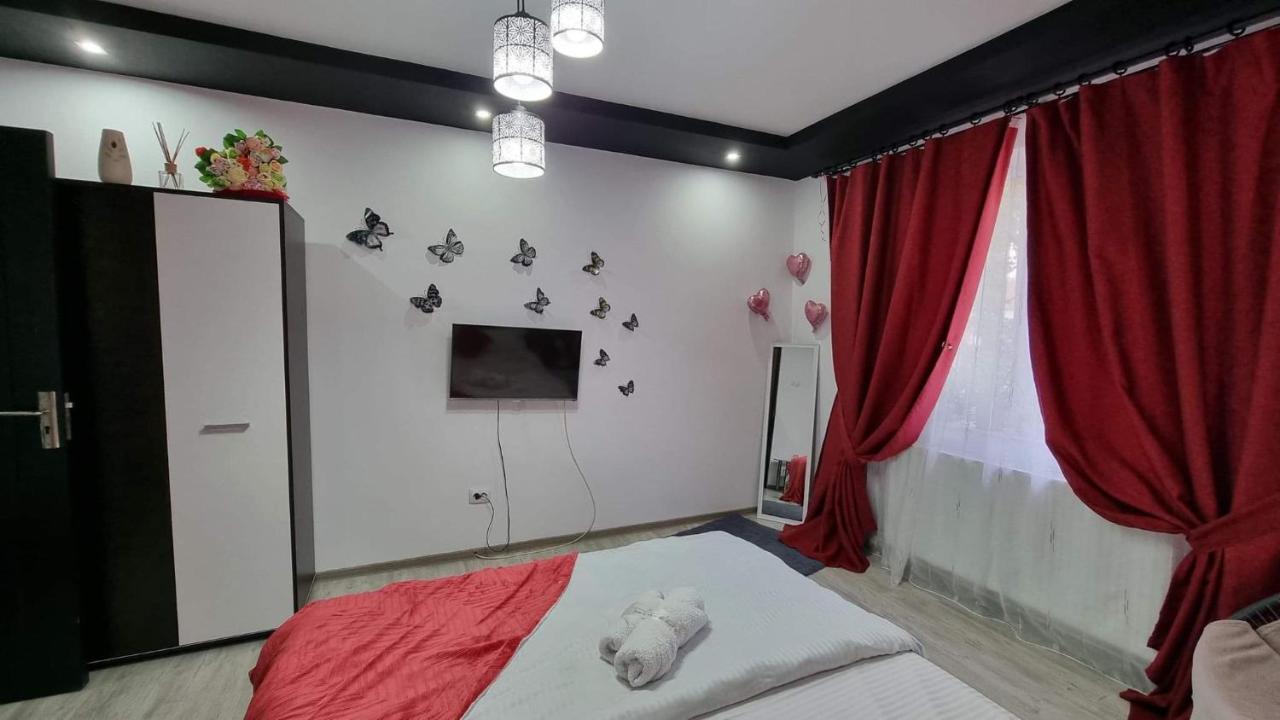 Apartament Studio Vale Hunedoara Zewnętrze zdjęcie