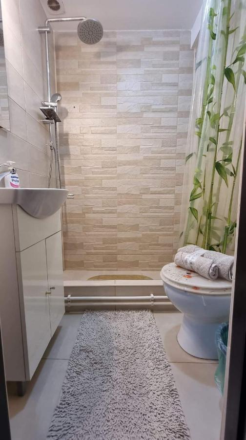 Apartament Studio Vale Hunedoara Zewnętrze zdjęcie