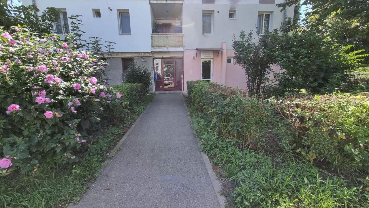 Apartament Studio Vale Hunedoara Zewnętrze zdjęcie
